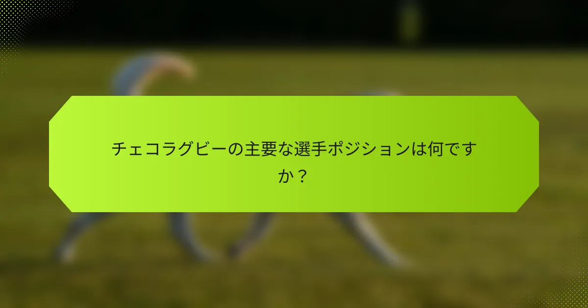 チェコラグビーの主要な選手ポジションは何ですか?